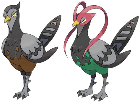 unfezant ex|Unfezant Pokédex: stats, moves, evolution & locations.